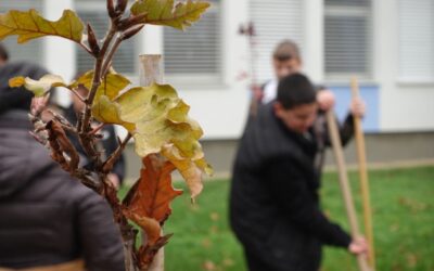 Suhopolje postalo bogatije za još jednu zelenu priču: Učenici, šumari i Općina udružili snage u stvaranju ljepšeg školskog okoliša