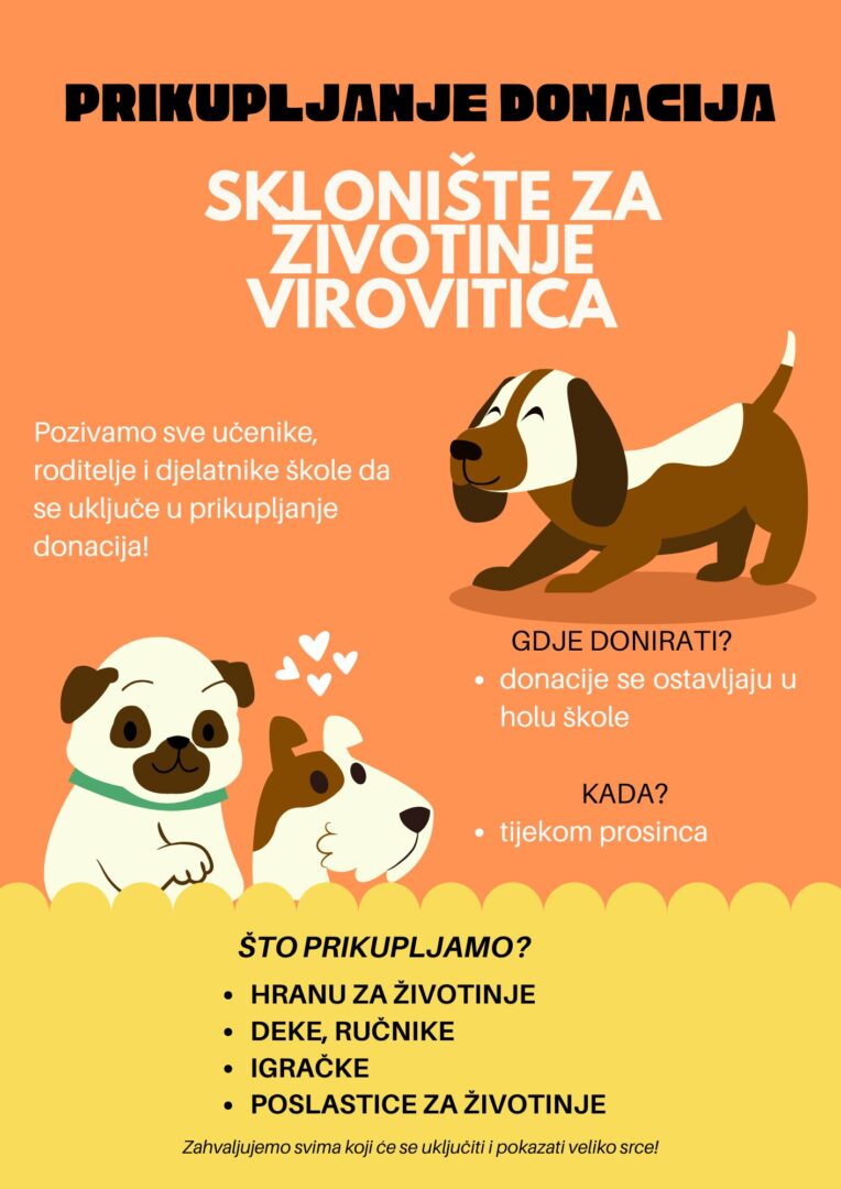 Orange Yellow Illustrative Animal Shelter Flyer