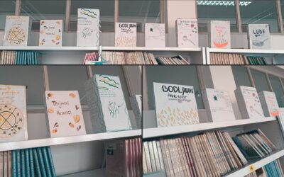 Pahuljice lektira u 6.c!